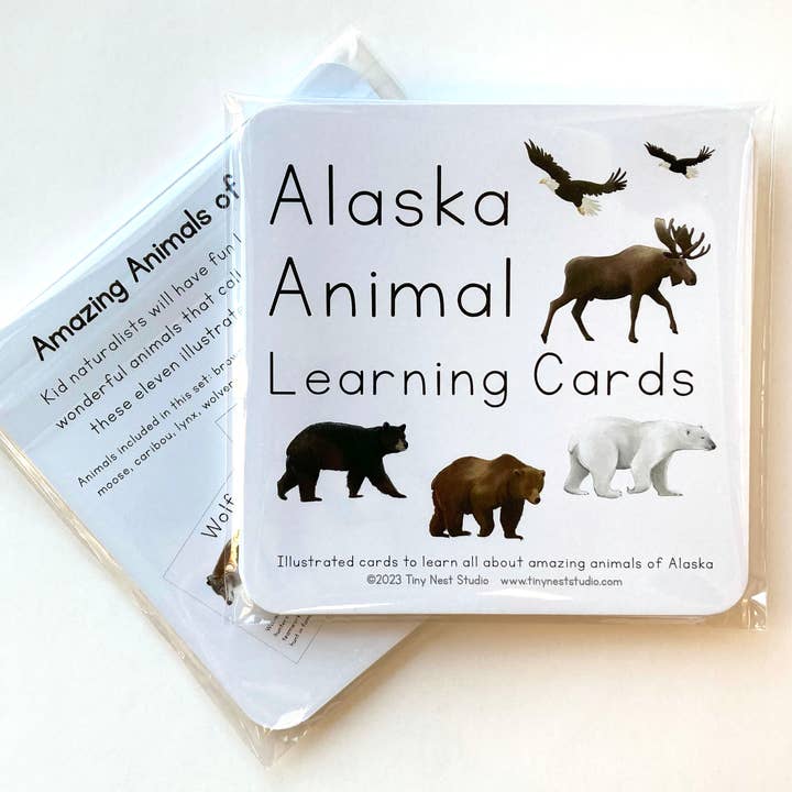 Tiny Nest Studio - Vendita all'ingrosso Carte didattiche - Bambini e neonati - Carte didattiche sugli animali dell'Alaska3