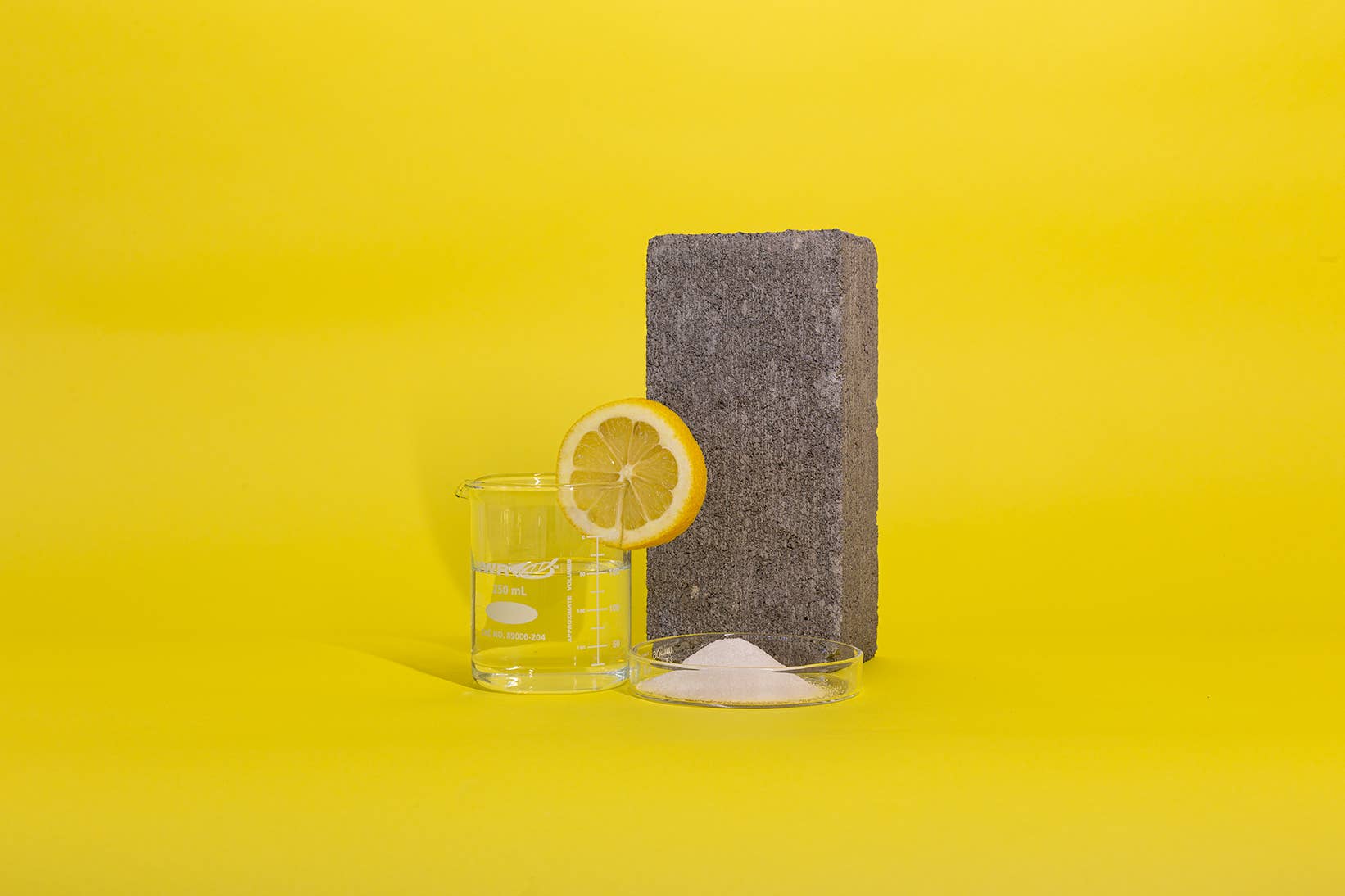 Taste Plants - Wholesale Mints - lemon geranium mint - breath mints2