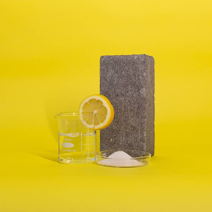 Taste Plants - Wholesale Mints - lemon geranium mint - breath mints2