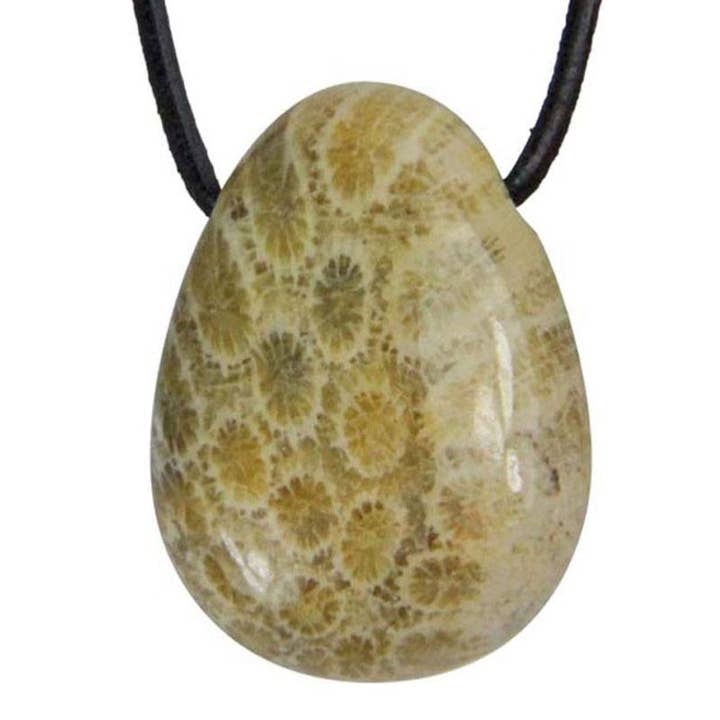 La Boîte à Cailloux - Wholesale Pendant/Charm Necklace - Fossilized coral pendant United States A (drilled stone) + cord