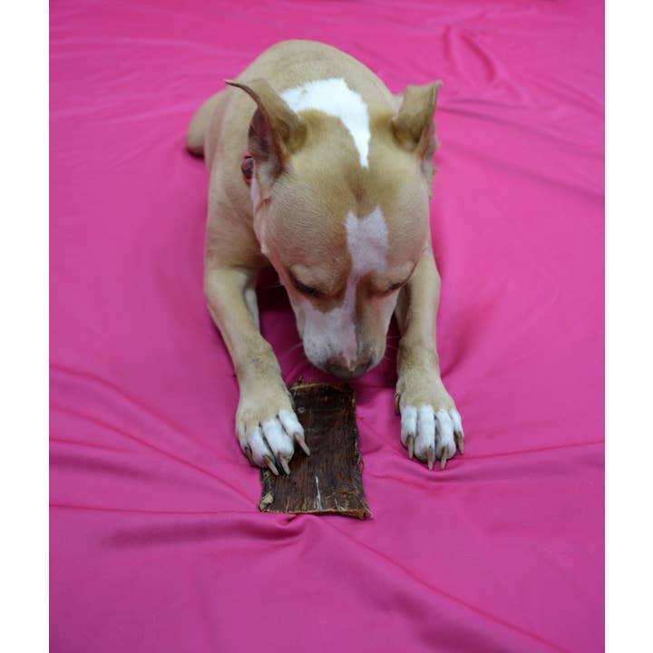 Jones Natural Chews - Wholesale Pet Treats - Dog - Beef Weasand Jerky Medium 1 Pack Shrink Wrap with Label3