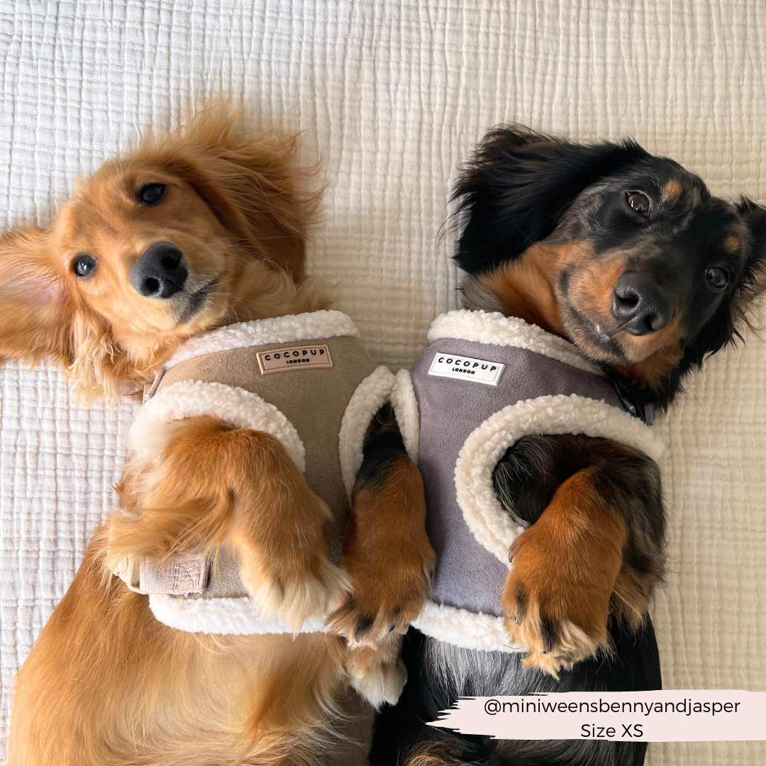 Cocopup London - Wholesale Pet Harness - Dog - Nude Aviator Adjustable Neck Harness17