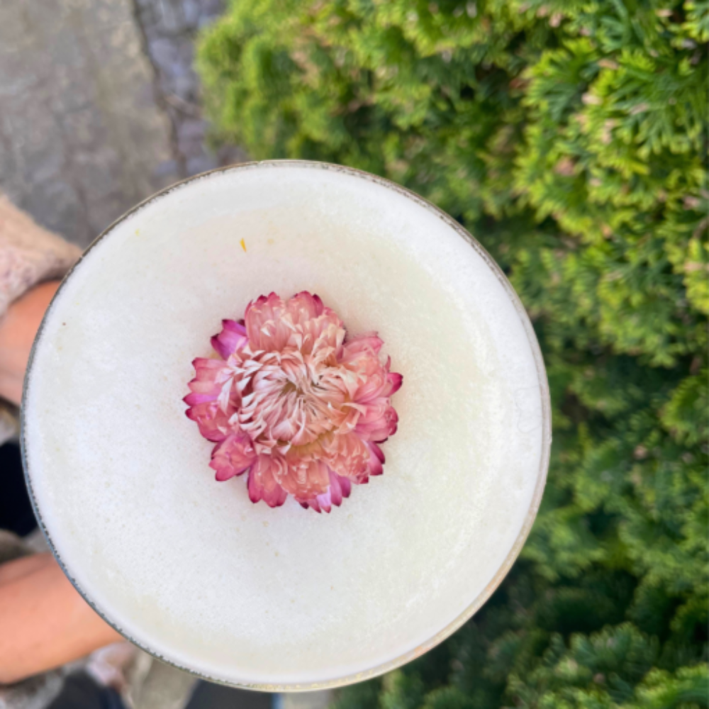 Drink Botanicals Ireland - Wholesale Dried/Pressed Flowers - Dried Edible Mixed Flowers7