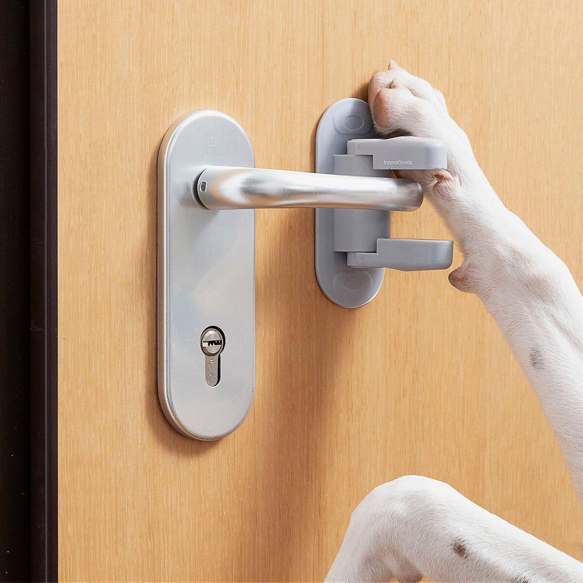 InnovaGoods - Wholesale Knob/Pull - InnovaGoods 2 Unit Dlooky Door Lock7