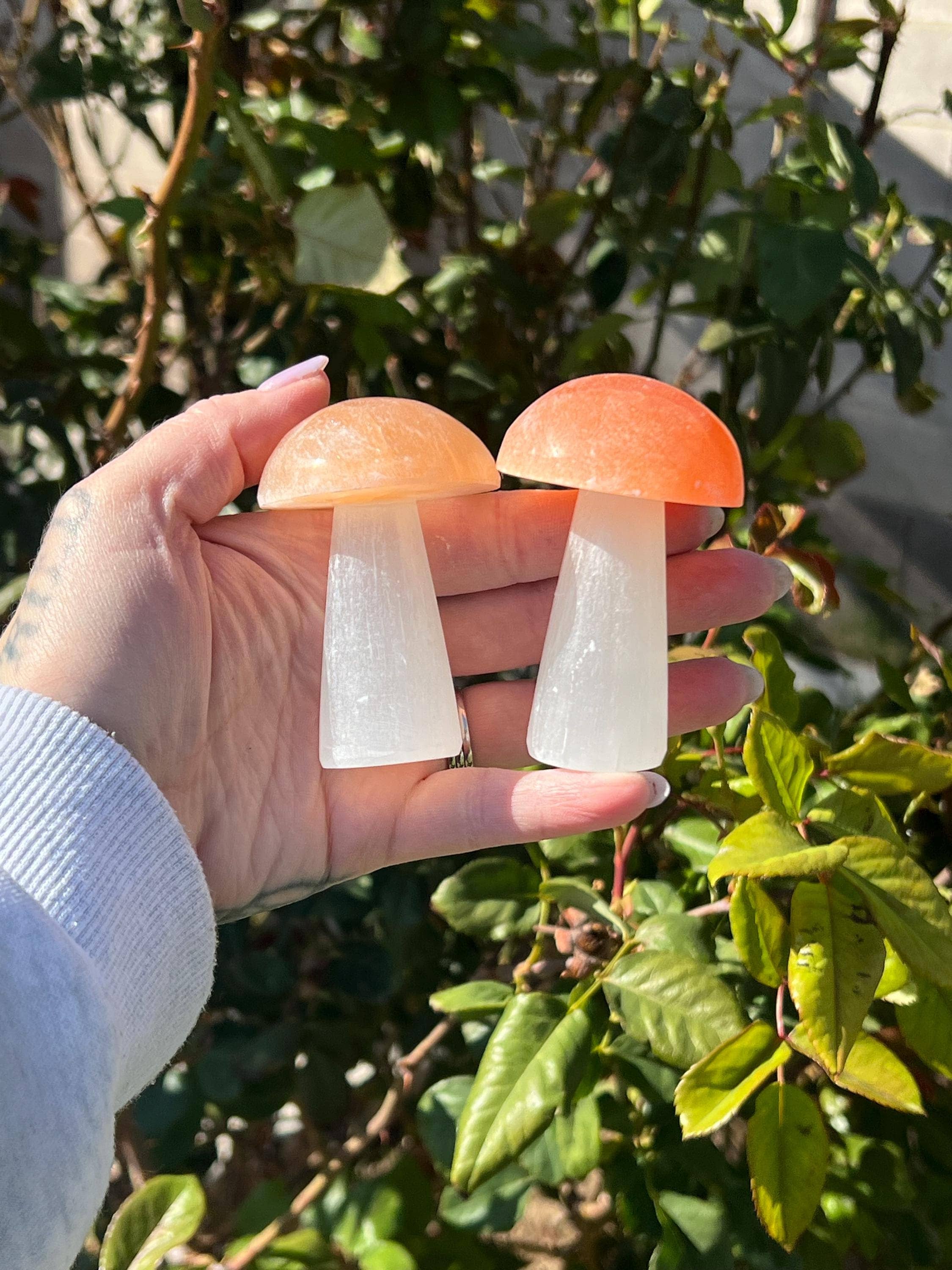 EC Plugs and Gems - Vente Pierre et cristal de spiritualité - Champignon sculpté en sélénite – Cristal artisanal pour purification énergétique, décoration et guérison spirituelle2