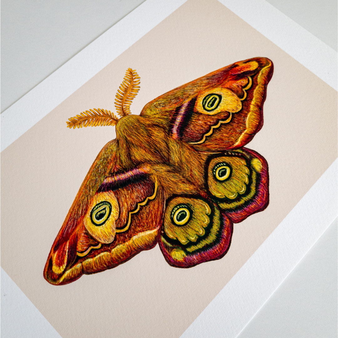 Studio Binck - Wholesale Kunstprint - Kunstdruk DE DERDE KEIZER3