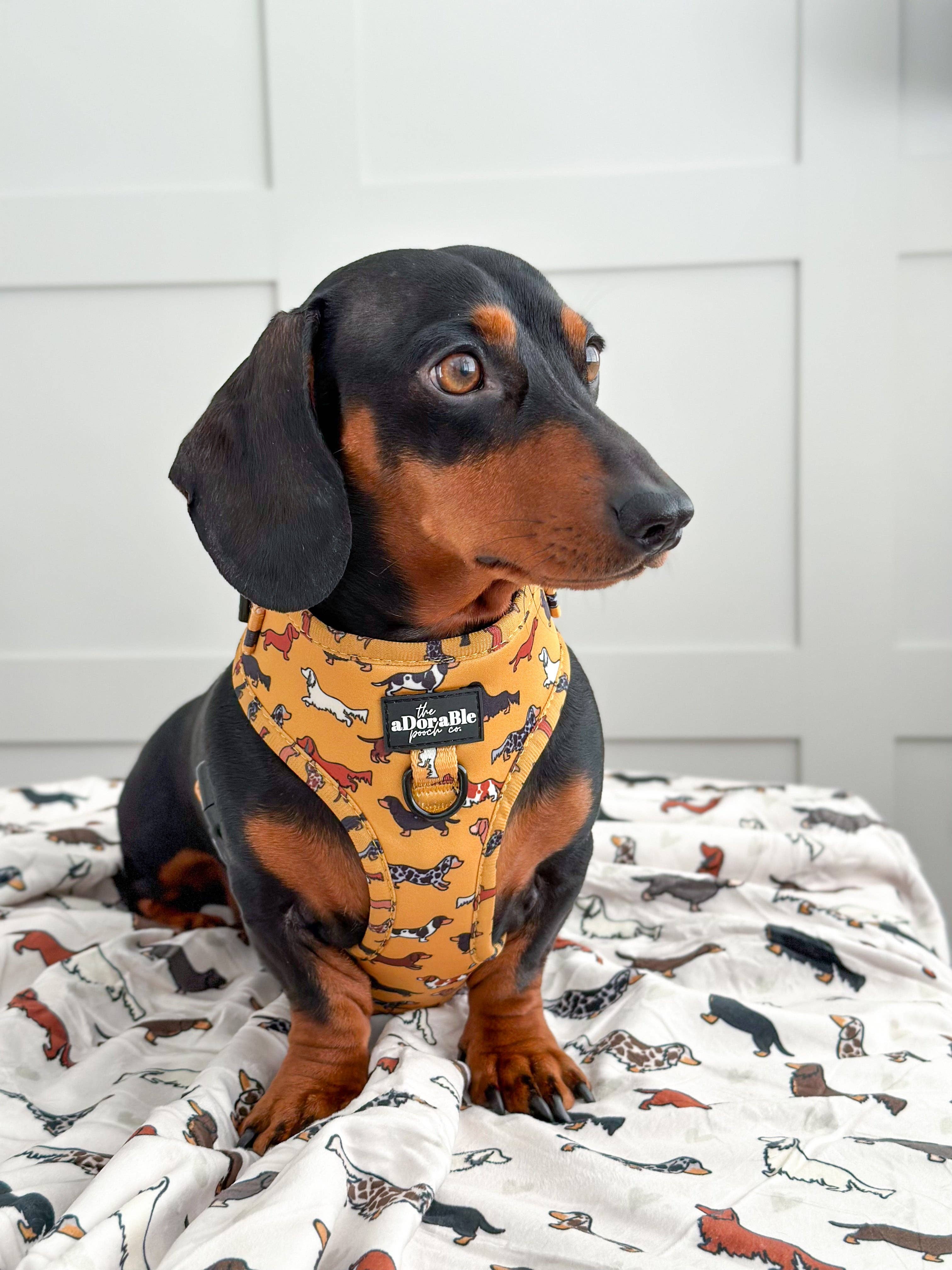 The aDoraBle Pooch Company - Wholesale Pet Harness - Dog - Adjustable Harness - Dashing Dachshunds14