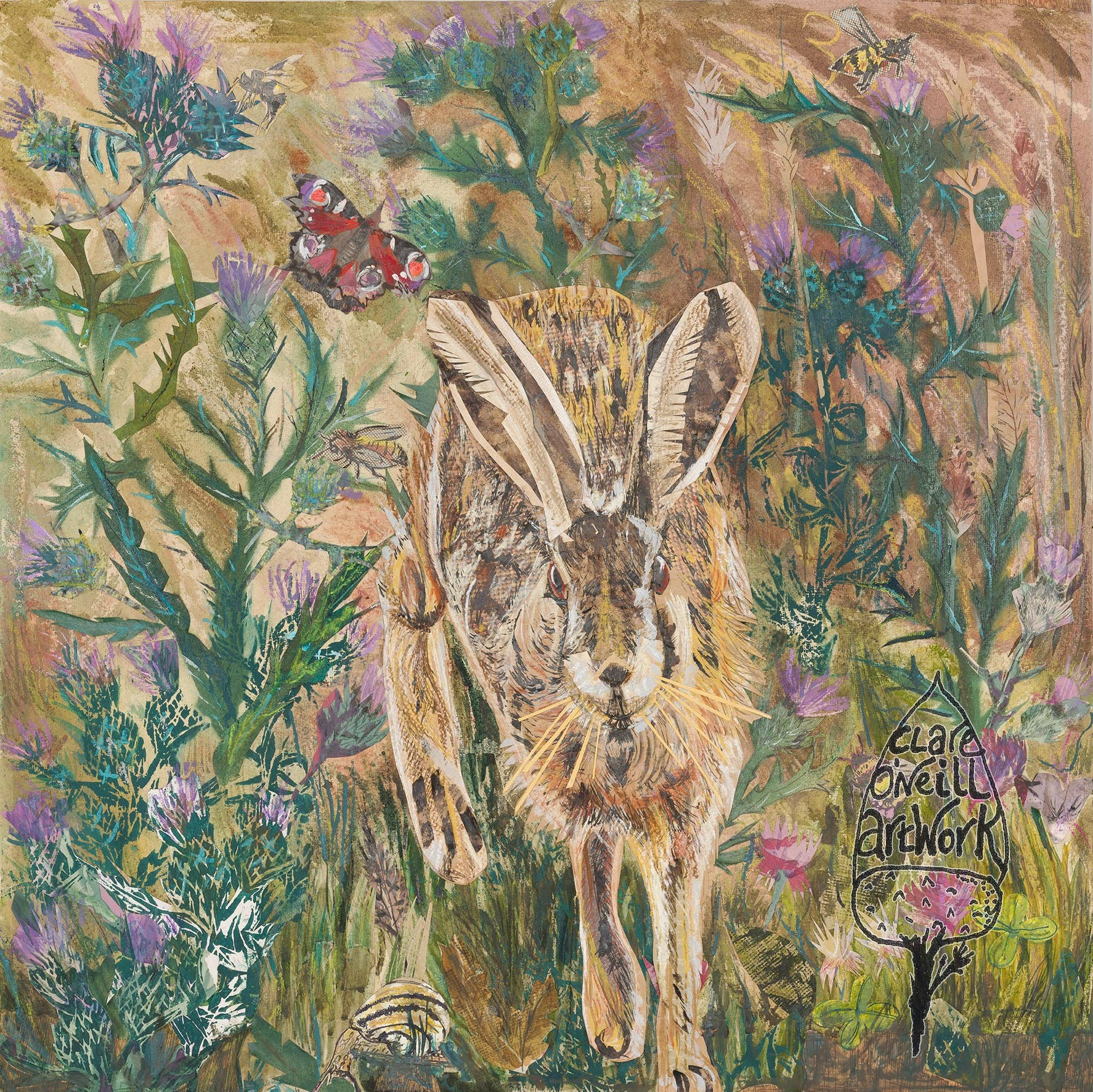 Clare O’Neill Artworks – wholesale Everyday greeting card – Hare in the Thistles Blank Greeting Card2