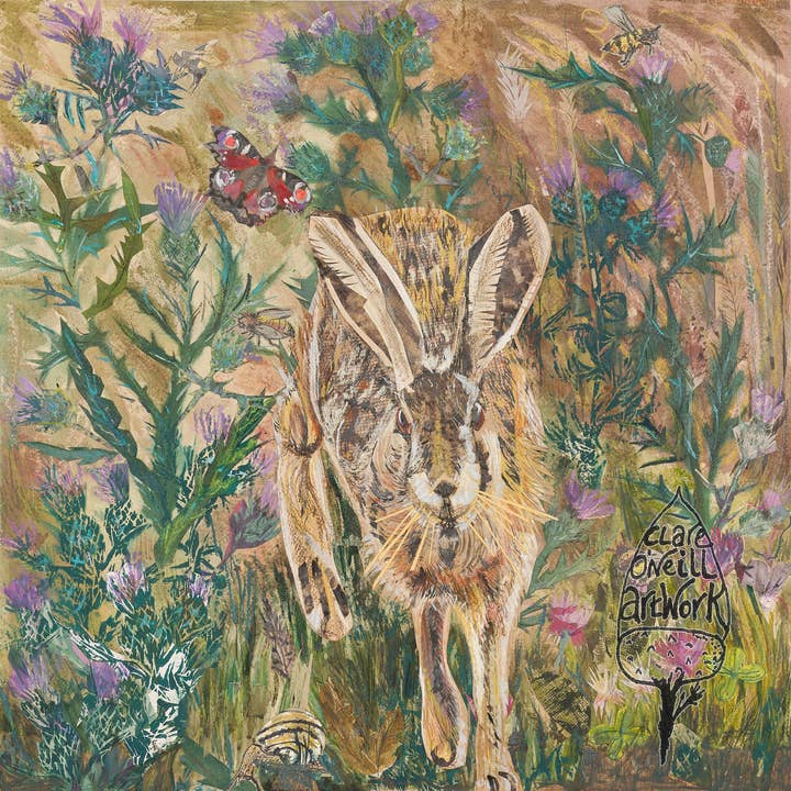 Clare O’Neill Artworks – wholesale Everyday greeting card – Hare in the Thistles Blank Greeting Card2