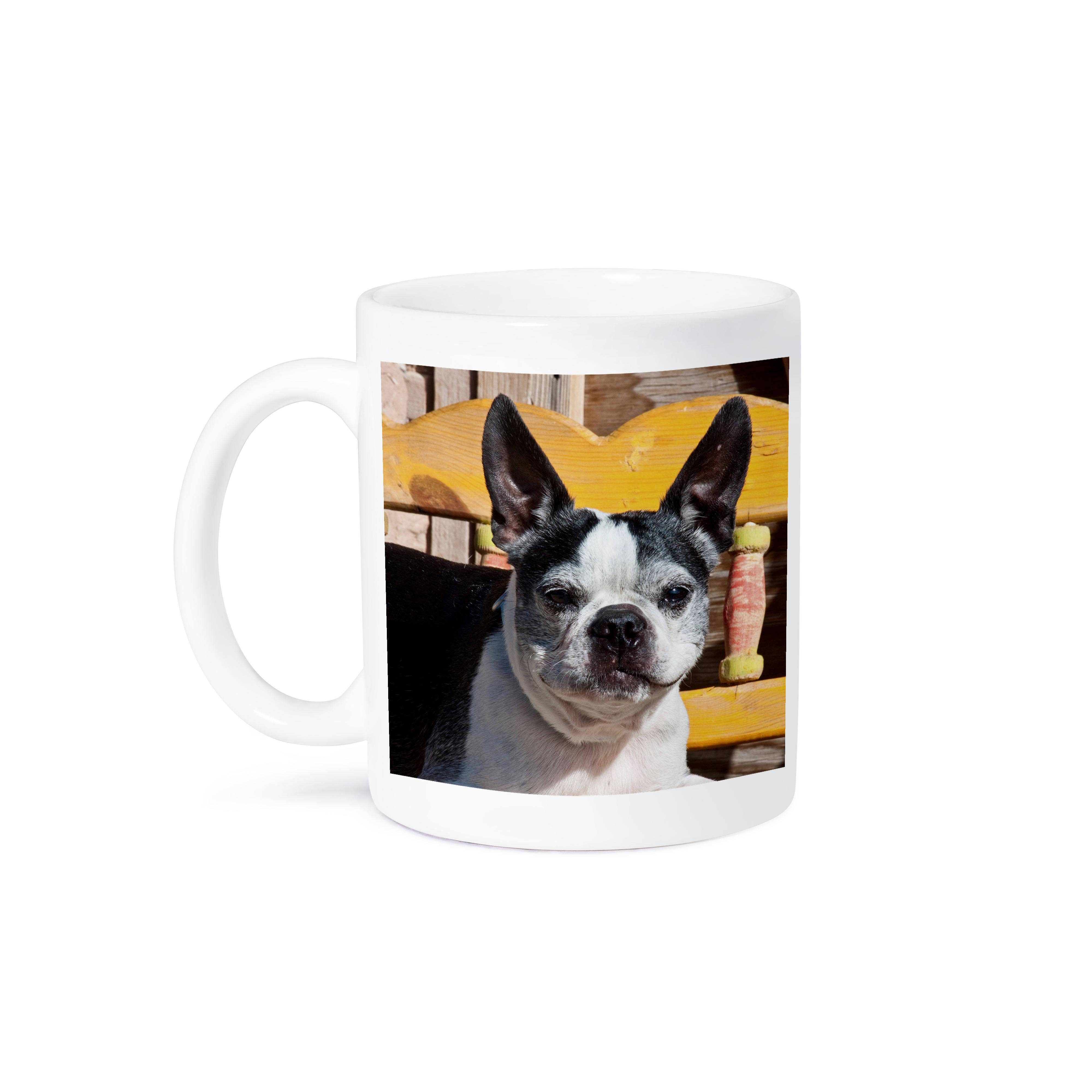 3dRose - Wholesale Coffee Mug - 3dRose, A Boston Terrier dog on a painted bench - US32 ZMU0007 - Zandria Muench Beraldo, Mug8
