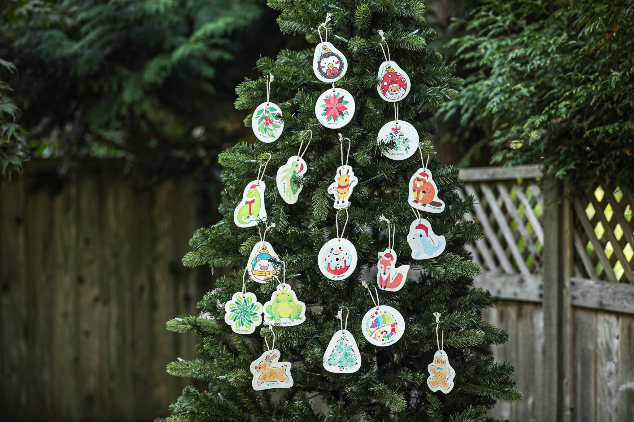 Plantish - Wholesale Cleaning Sponge - Frog - Pop up Sponge3