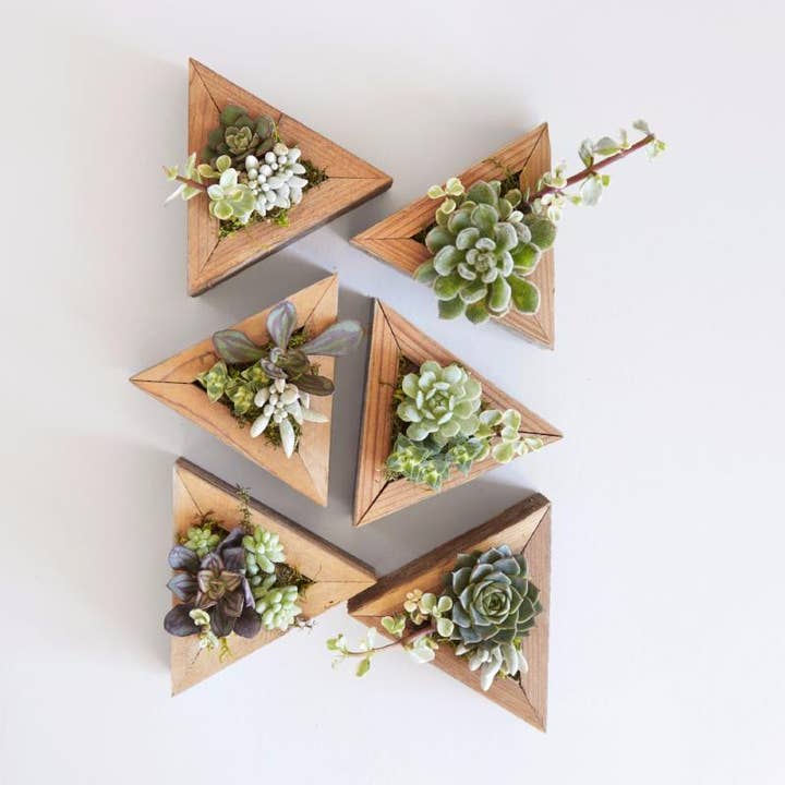 Reclaimed Wood Planter Box Triangle Small and other Purchase Wholesale wood planter boxes. Free Returns & Net 60 Terms on Faire trending on Faire.