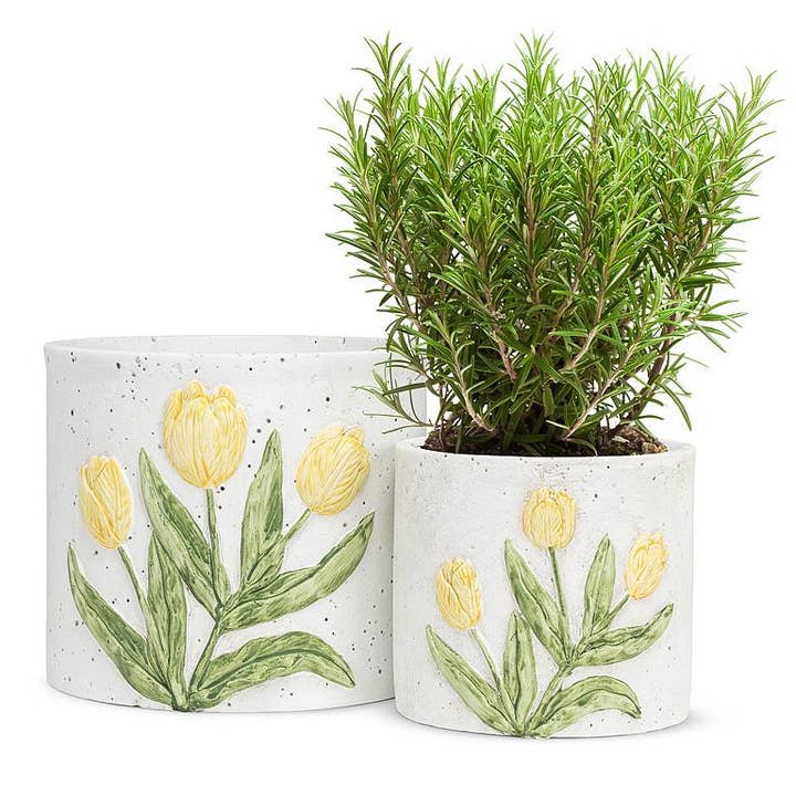 Grand pot avec tulipe-jaune-6,5"H pour la vente par Abbott