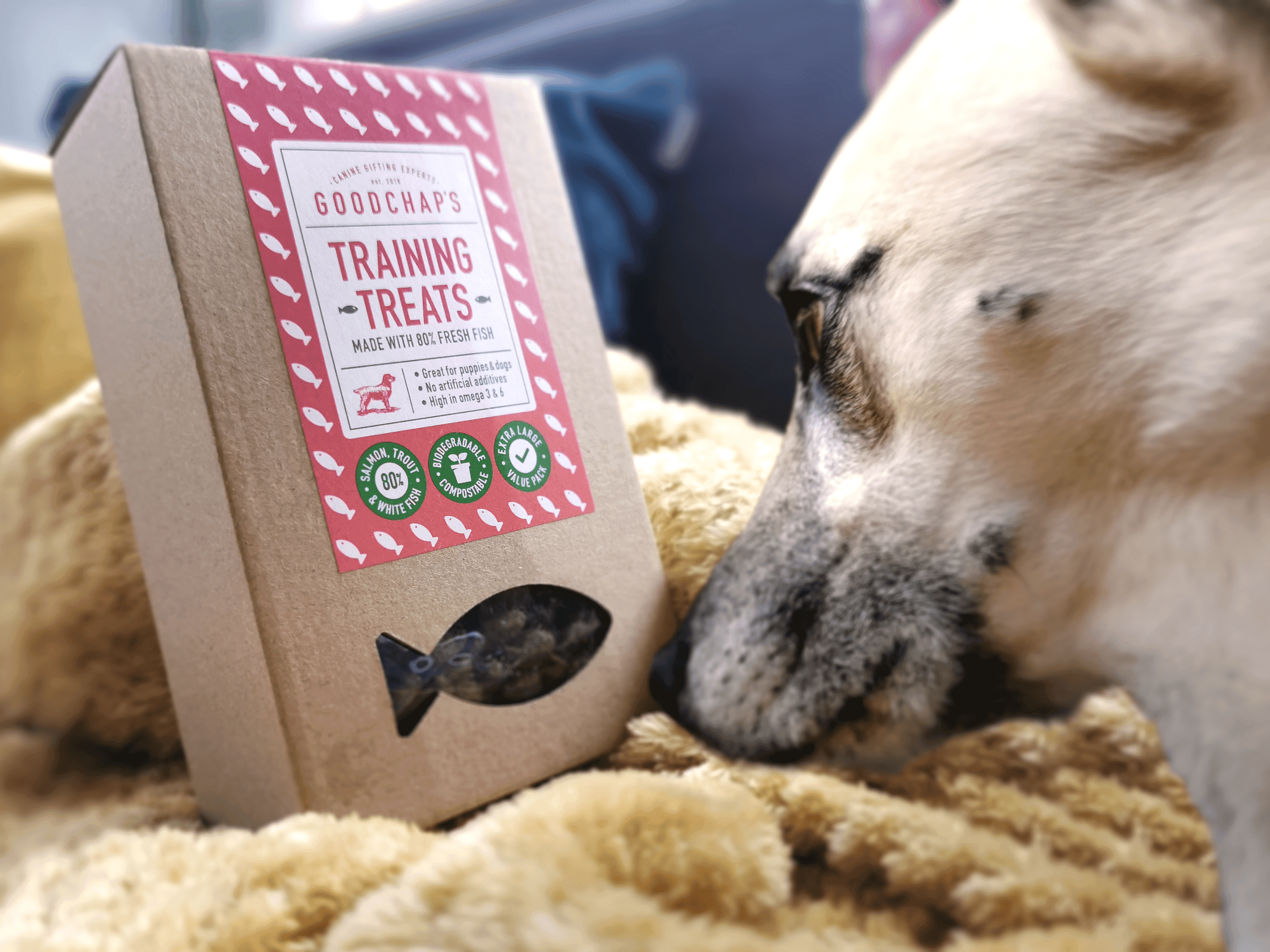 Goodchap's – Großhandel Leckerlis – Hund – Fisch-Trainingsleckerlis Sparpaket | Gesunde & Natürliche Leckerlis2