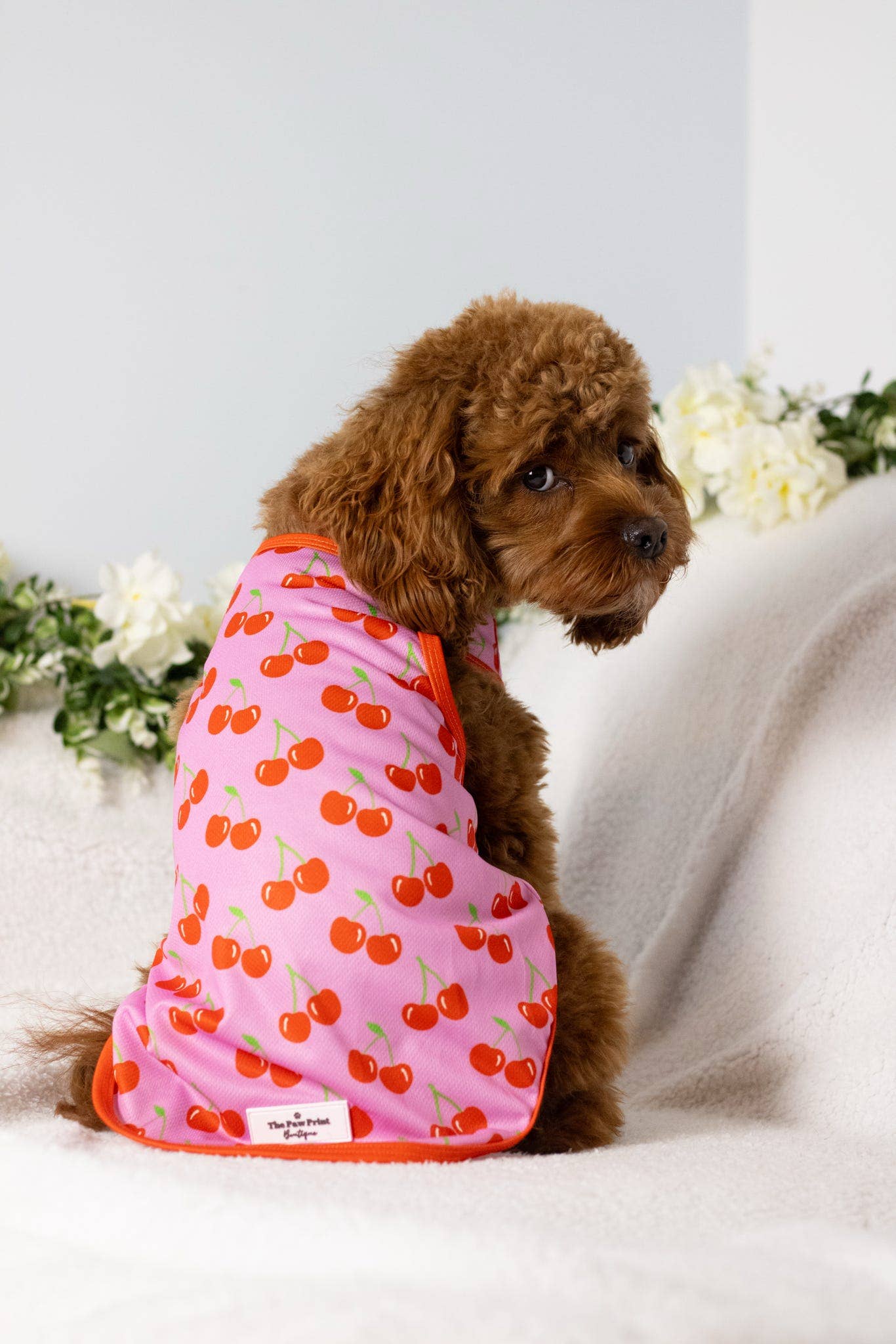 The Paw Print Boutique - Wholesale Pet Vest - Dog - The Cherry on Top Cooling Vest9
