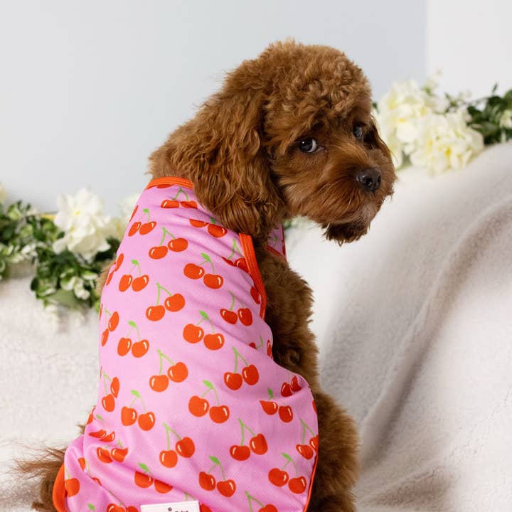 The Paw Print Boutique - Wholesale Pet Vest - Dog - The Cherry on Top Cooling Vest9