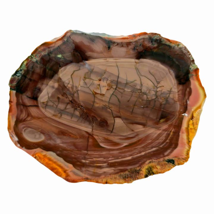 Lastra di Diaspro Imperiale Reale - Sfere Rosa Stile Willow Creek - Messico per la vendita all'ingrosso da parte di Lapidary Central