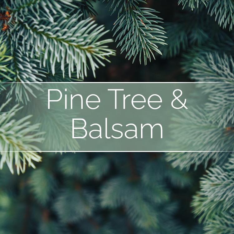Phoenix Wick – Engroshandel DIY-hobbysæt – Pine Tree & Balsam - Stearinlysfremstillingssæt4