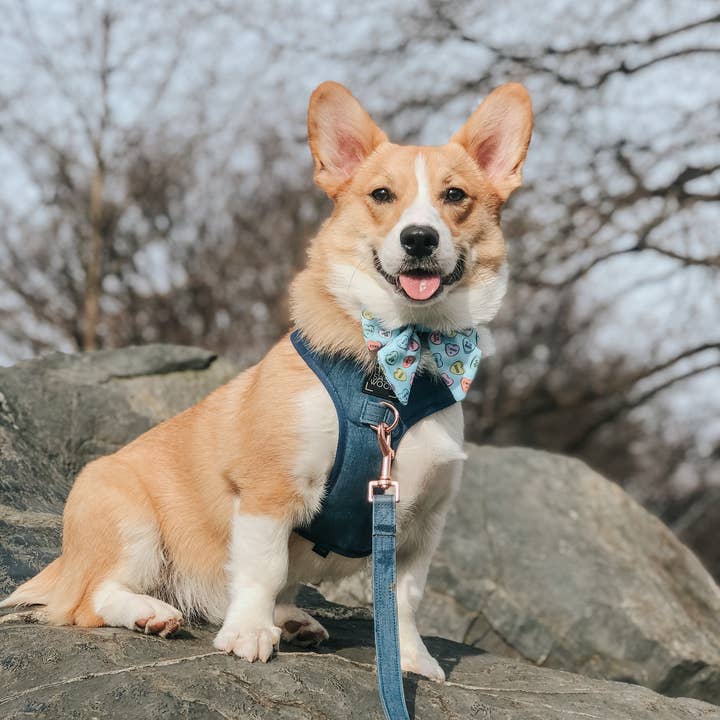 SASSY WOOF - Wholesale Pet Harness - Dog - Dog Adjustable Harness - Denim11