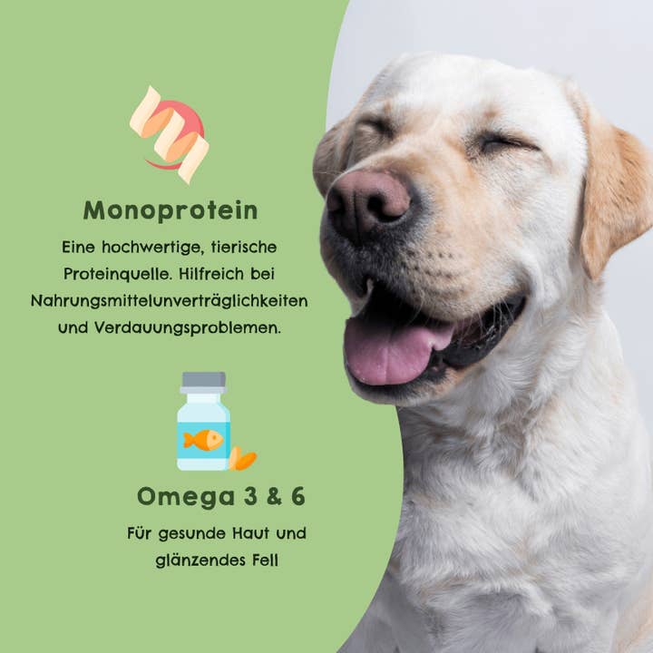 HAPPY JACKY - Vente Nourriture – chien - HAPPY JACKY | nourriture humide haut de gamme extra sensible pour chiens sans céréales | Poulet avec riz sauvage, brocoli & millet | sans conservateurs, sans sucre