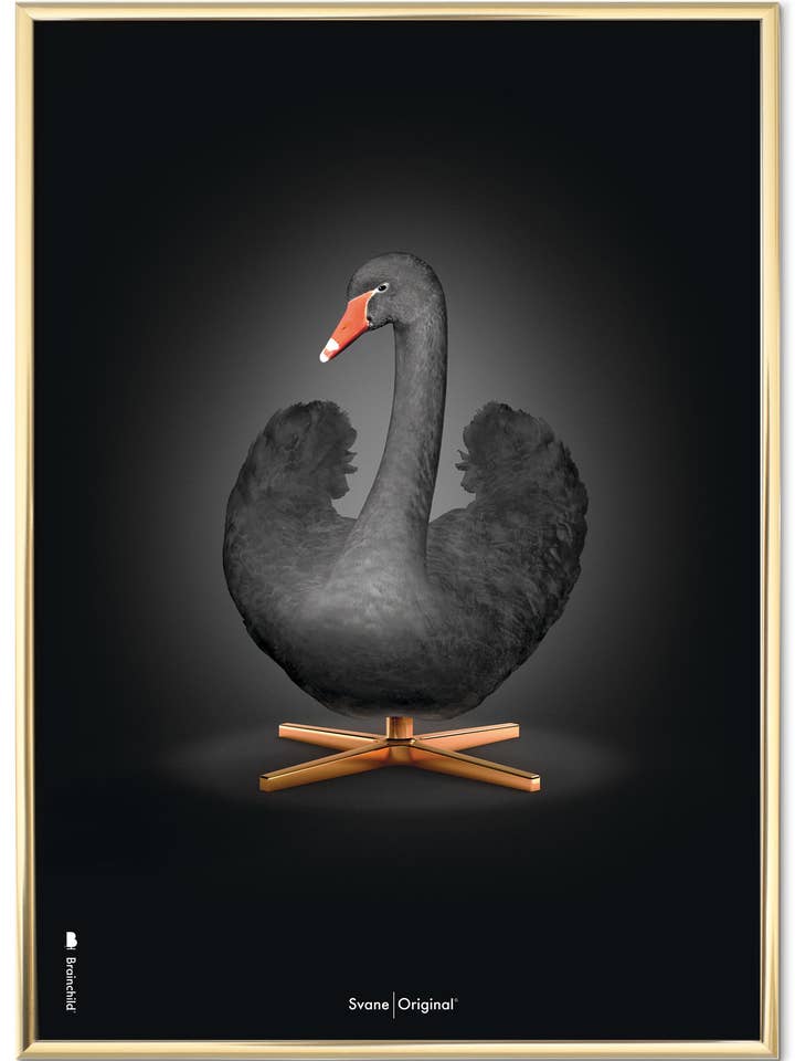Swan Poder — Black Swan — Black Background — Classic for wholesale by Brainchild