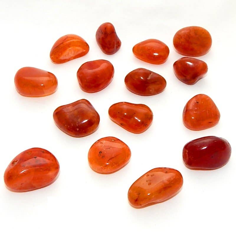 Liv Rocks - Wholesale Spiritual Stone/Crystal - Tumbled Carnelian - Wholesale Crystals 2