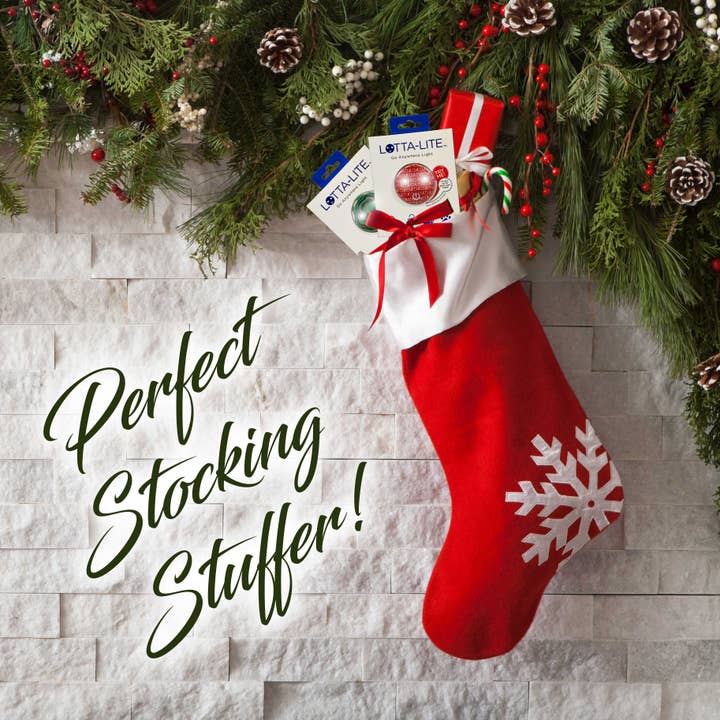 PurseN (new) - Wholesale Keychain - Men's - Dad Lotta-Lite1