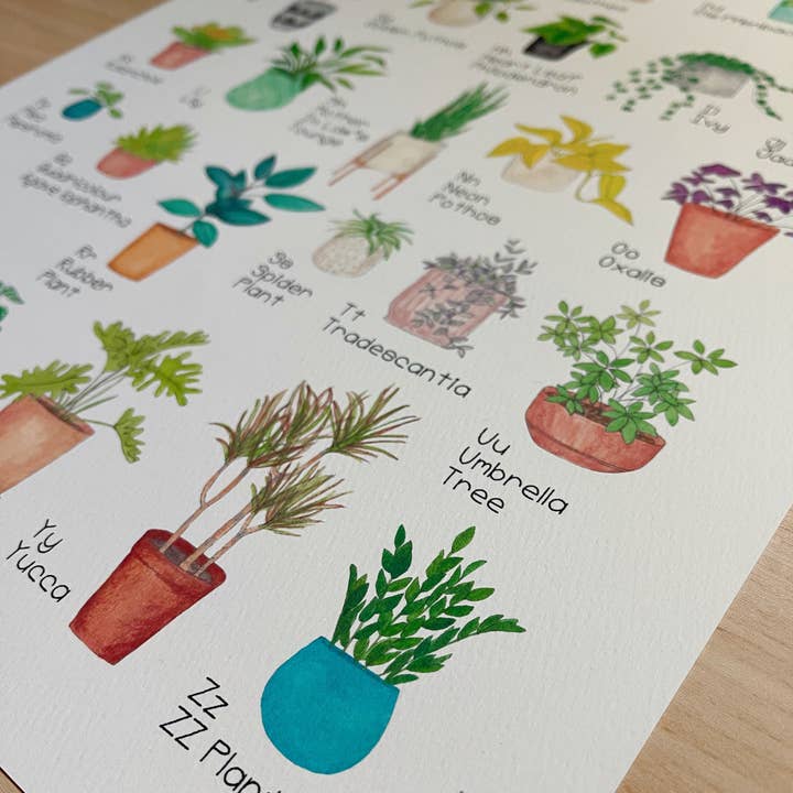 The Curious Cactus - Wholesale Art Print - Plant Alphabet Art Print2