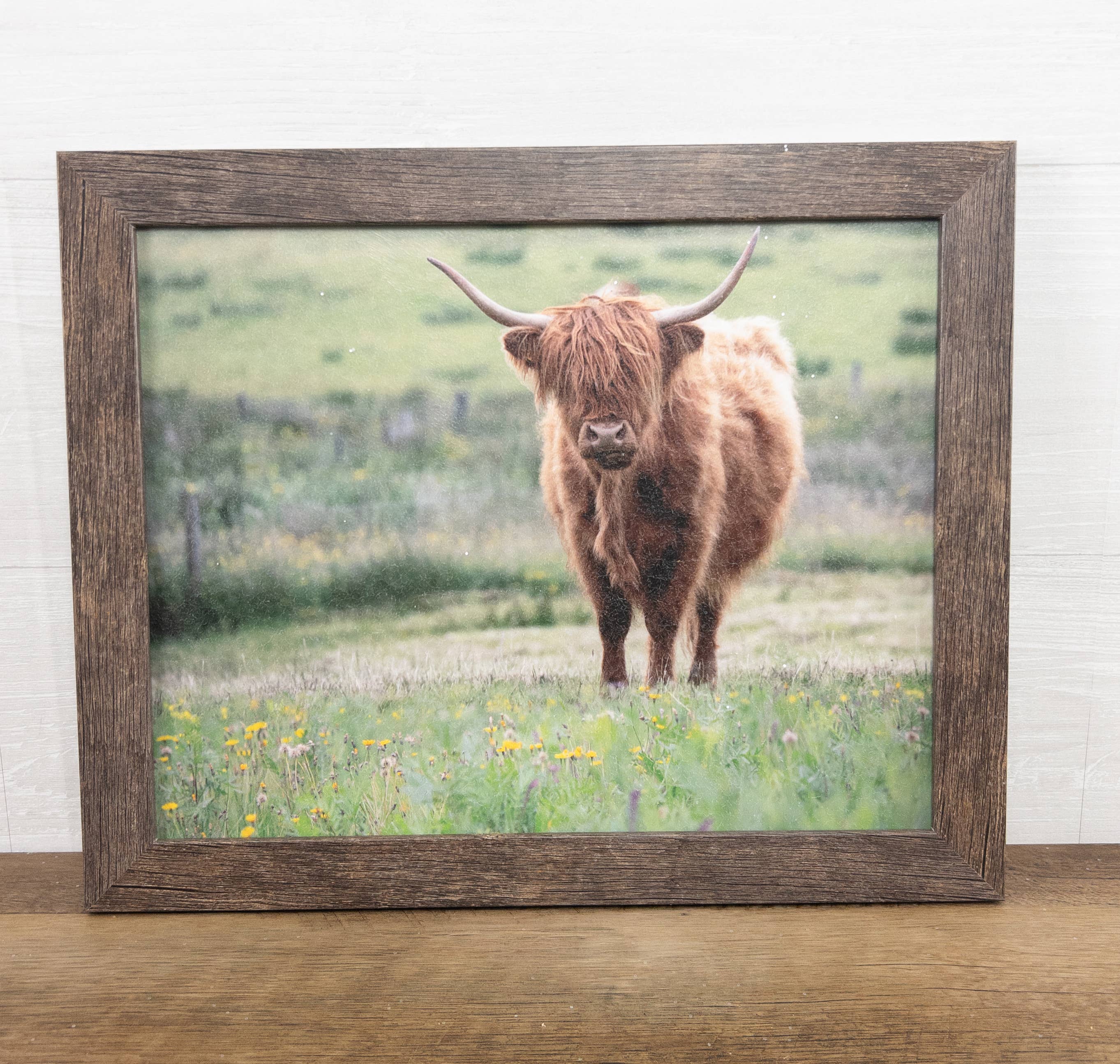 Summer Snow Art - Wholesale Art Print - Highland Cow Cattle Framed Art Picture Sign1
