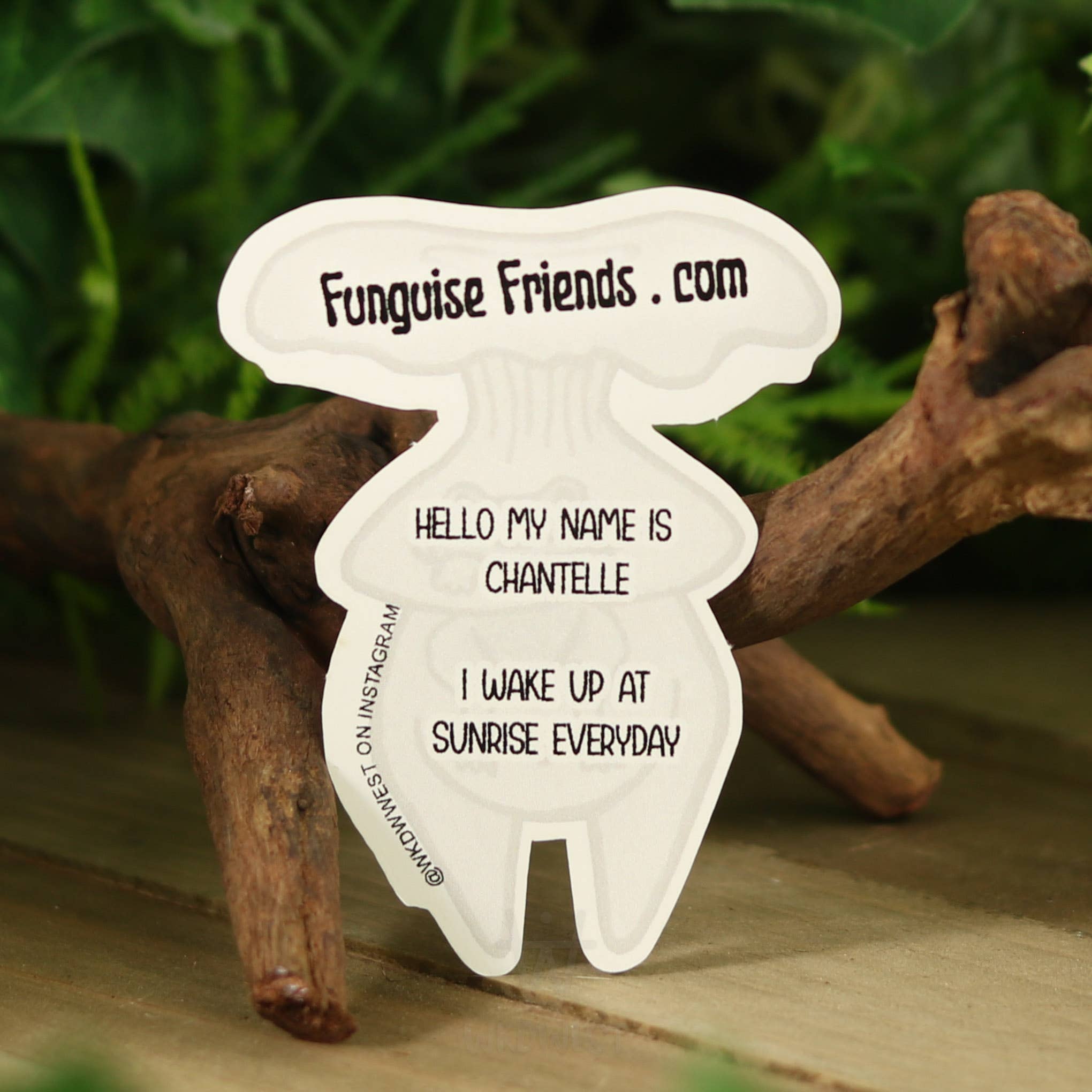 Funguise Friends by WkdWest - Wholesale Sticker - Vinyl Funguise® Sticker - Chantelle1