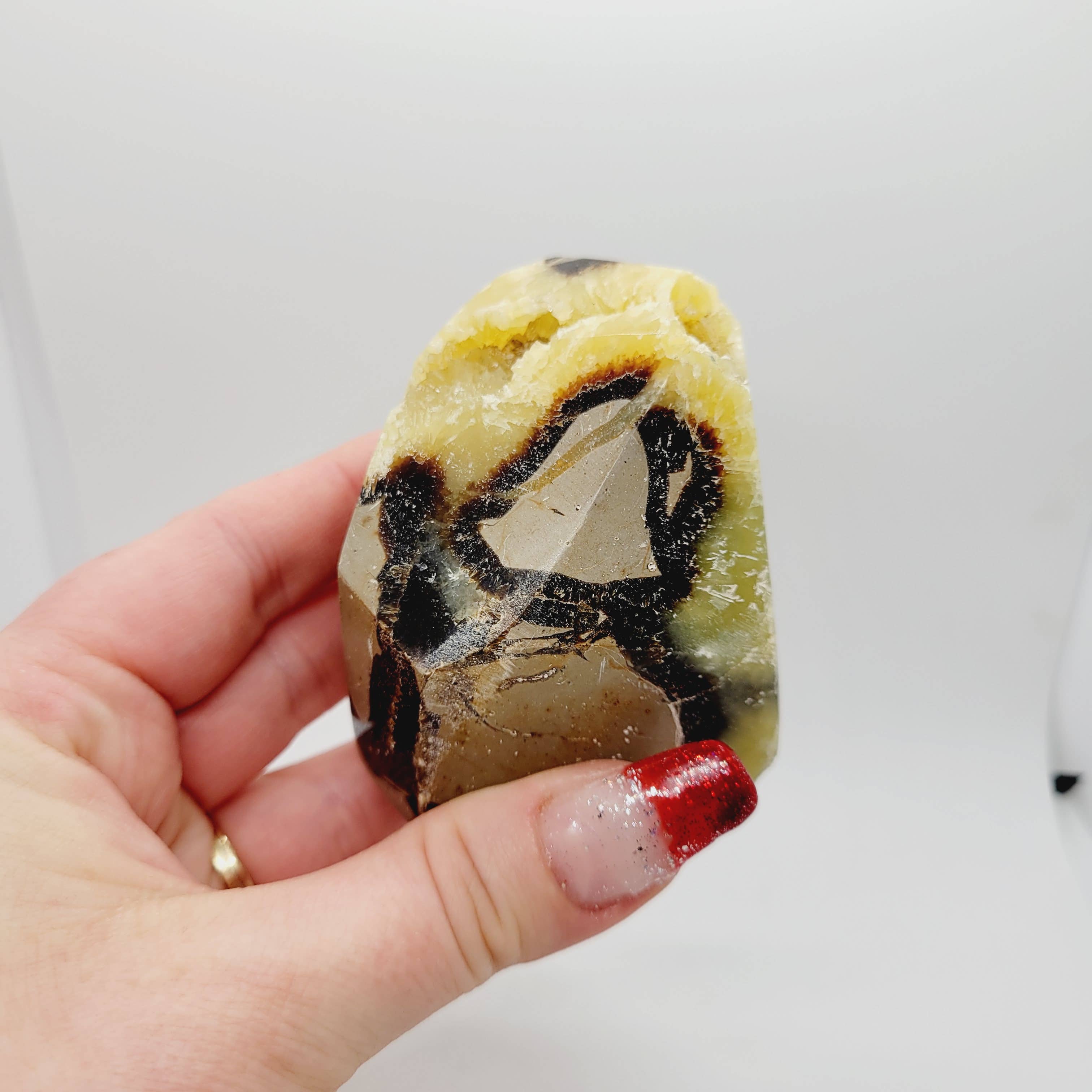 The Raven's Edge - Wholesale Spiritual Stone/Crystal - Septarian Stone Free form Crystal Standing Free form1