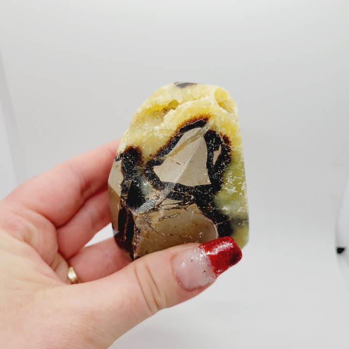 The Raven's Edge - Wholesale Spiritual Stone/Crystal - Septarian Stone Free form Crystal Standing Free form1