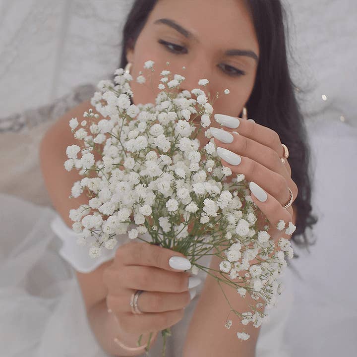 Baby's Breath for wholesale by Pintá