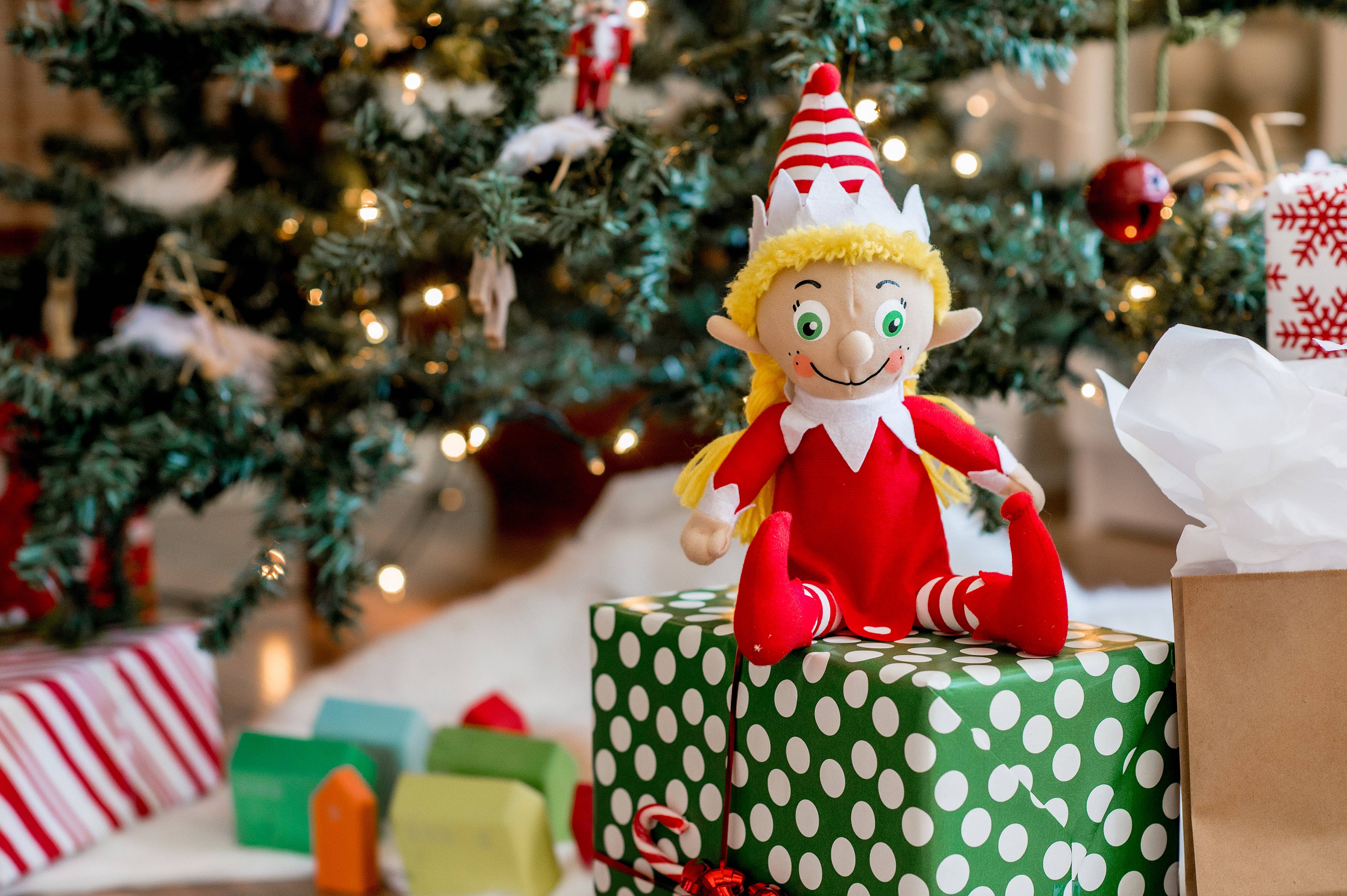 Pomango - Wholesale Stuffed/Plush Toy - Kids & Baby - POMANGO ELF - PLUSH2