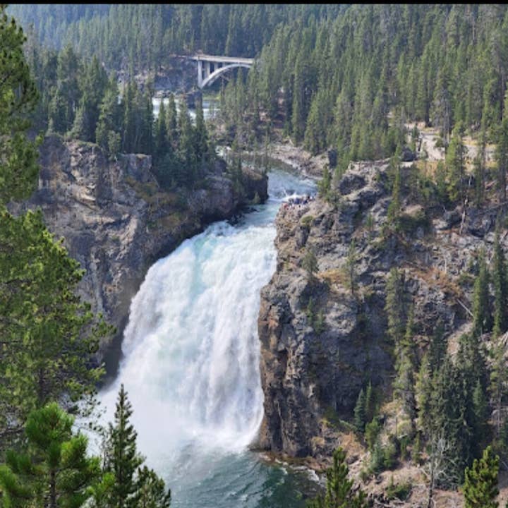 Fox + Hound - Wholesale Pet spray – Dog - Spray Cologne For Dogs - Yellowstone - National Park Series1