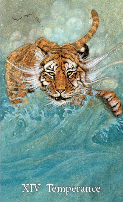 Schiffer Publishing – Engroshandel Tarotkort – Mary-El Tarot, 2. udgave10