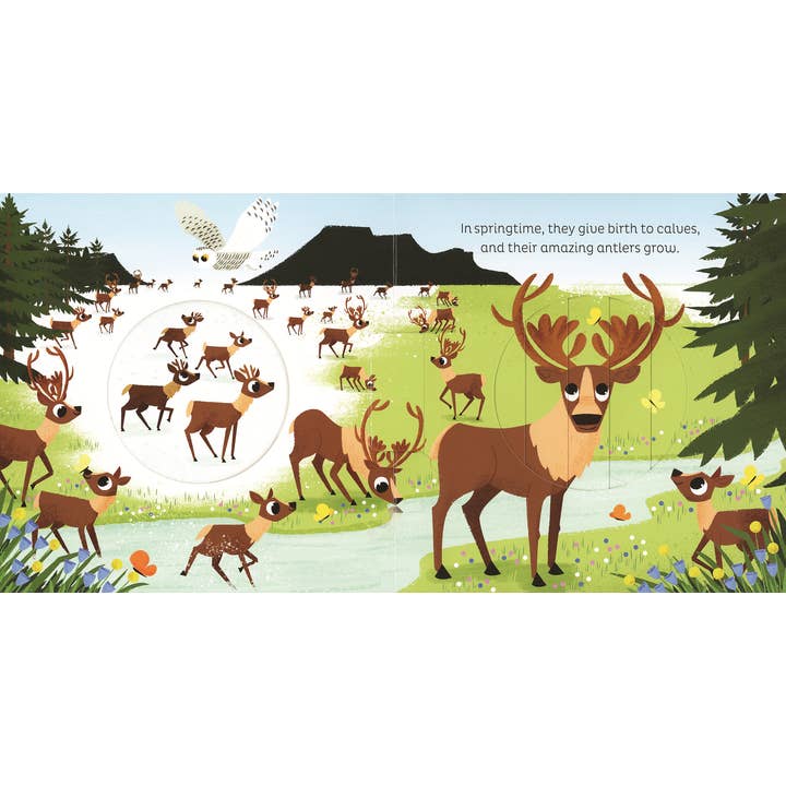 EDC Publishing - Wholesale Book - Kids - Animal Magic: In the Snow