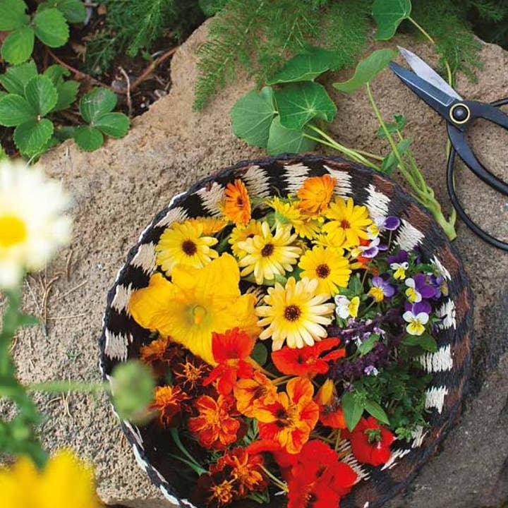 National Book Network - Wholesale Cookbook - Flower Infused Cocktail: Flowers, with a Twist