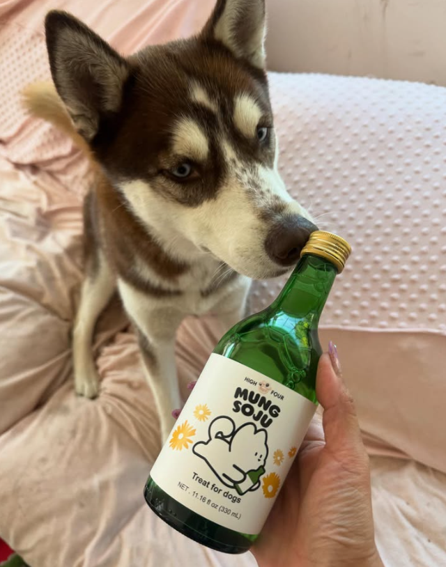 HIGH FOUR – Großhandel Leckerlis – Hund – Soju für Hunde! - Hundefreundlicher, alkoholfreier Hunde-Soju1