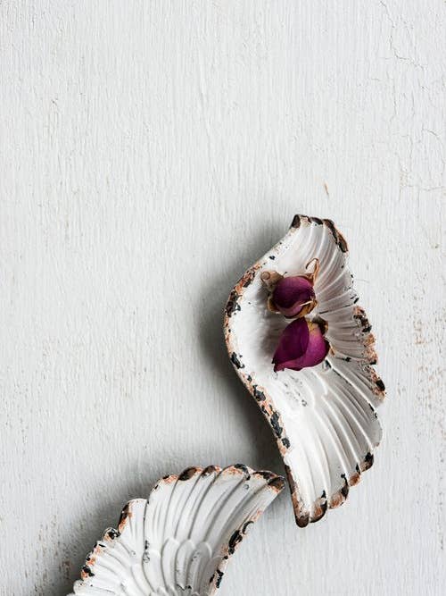 'Fallen' Fine Art Photography Print for wholesale by White Hill Home