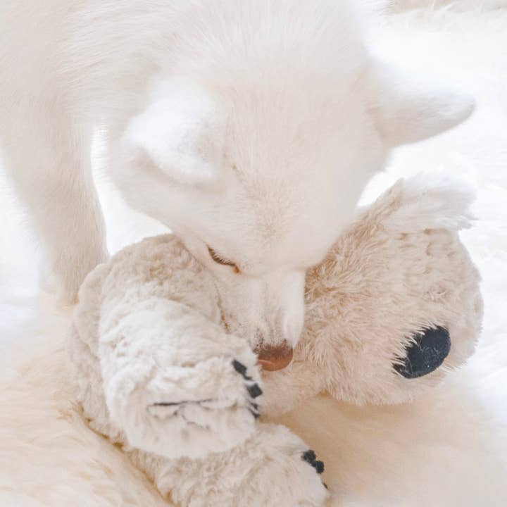 Fur Elise Pets - Wholesale Pet Plush Toy - Dog - Koko Maxi Plushie17