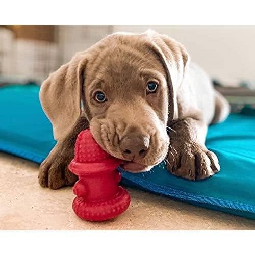 Elite Pet Distributors - Wholesale Pet Chew Toy - Dog - Spunky Pup The Hydrant Chew Toy for Dogs, Small2