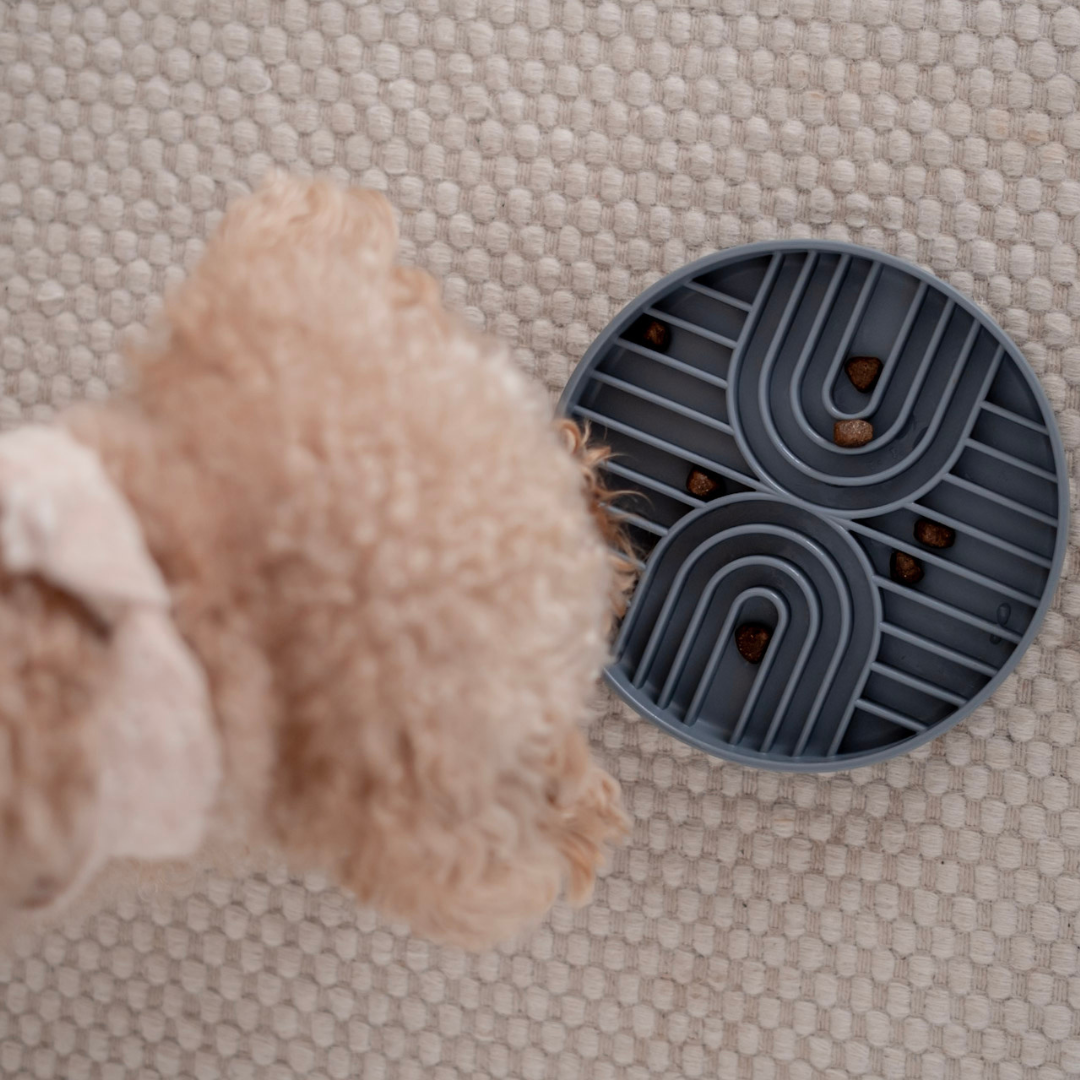 LOVIN'DOG - Wholesale Pet Bowl - Cat/Dog - Anti Schling Bowl & Lick Mat Grey 250ml4