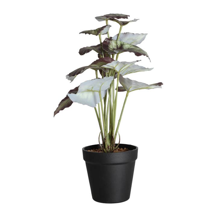 B&B - Wholesale Plant Pot - Plant, Plastic, Green Color, 29X23X36cm