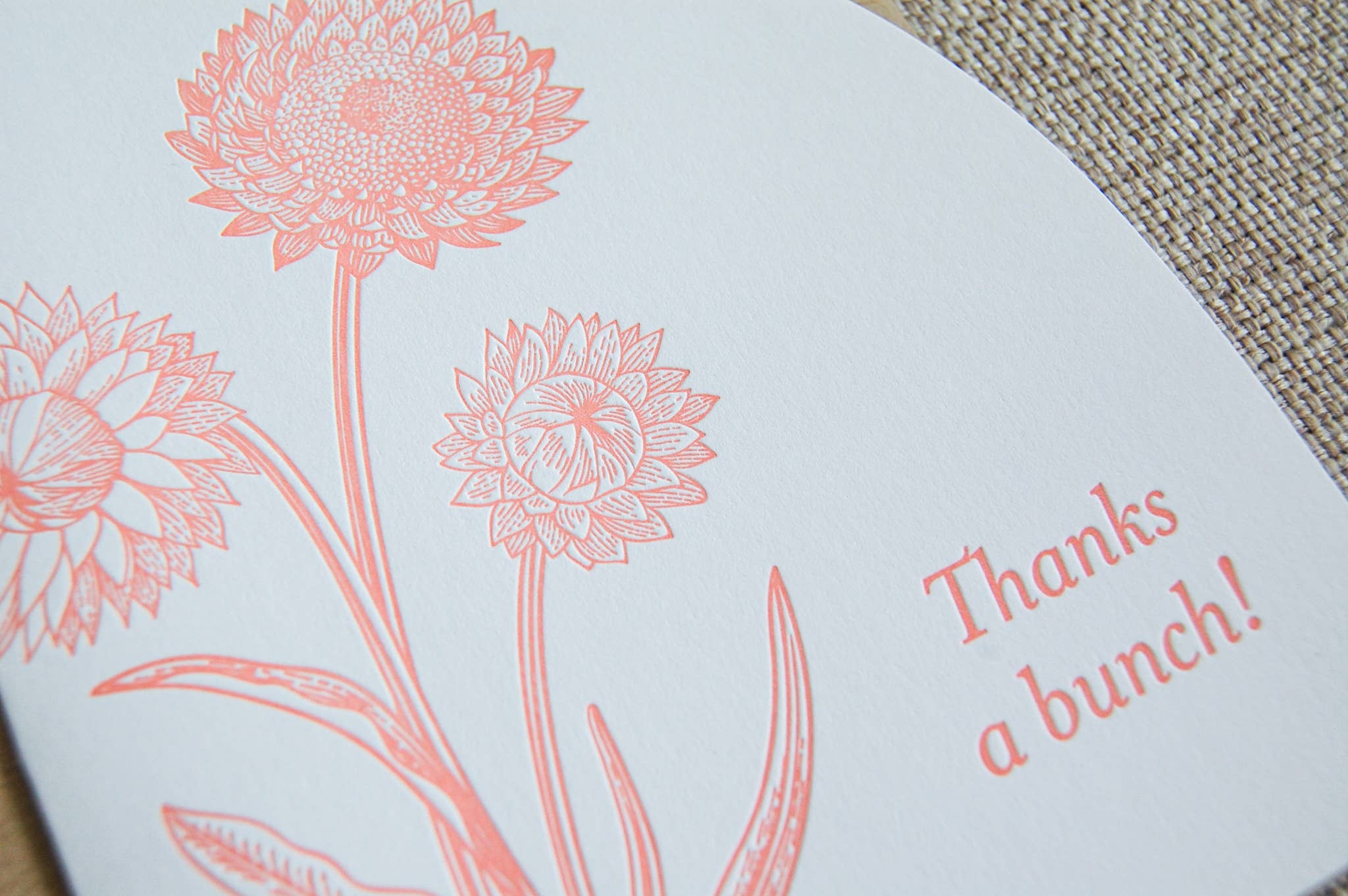 Pistachio Press – wholesale Tackkort – Arch tackar ett gäng1