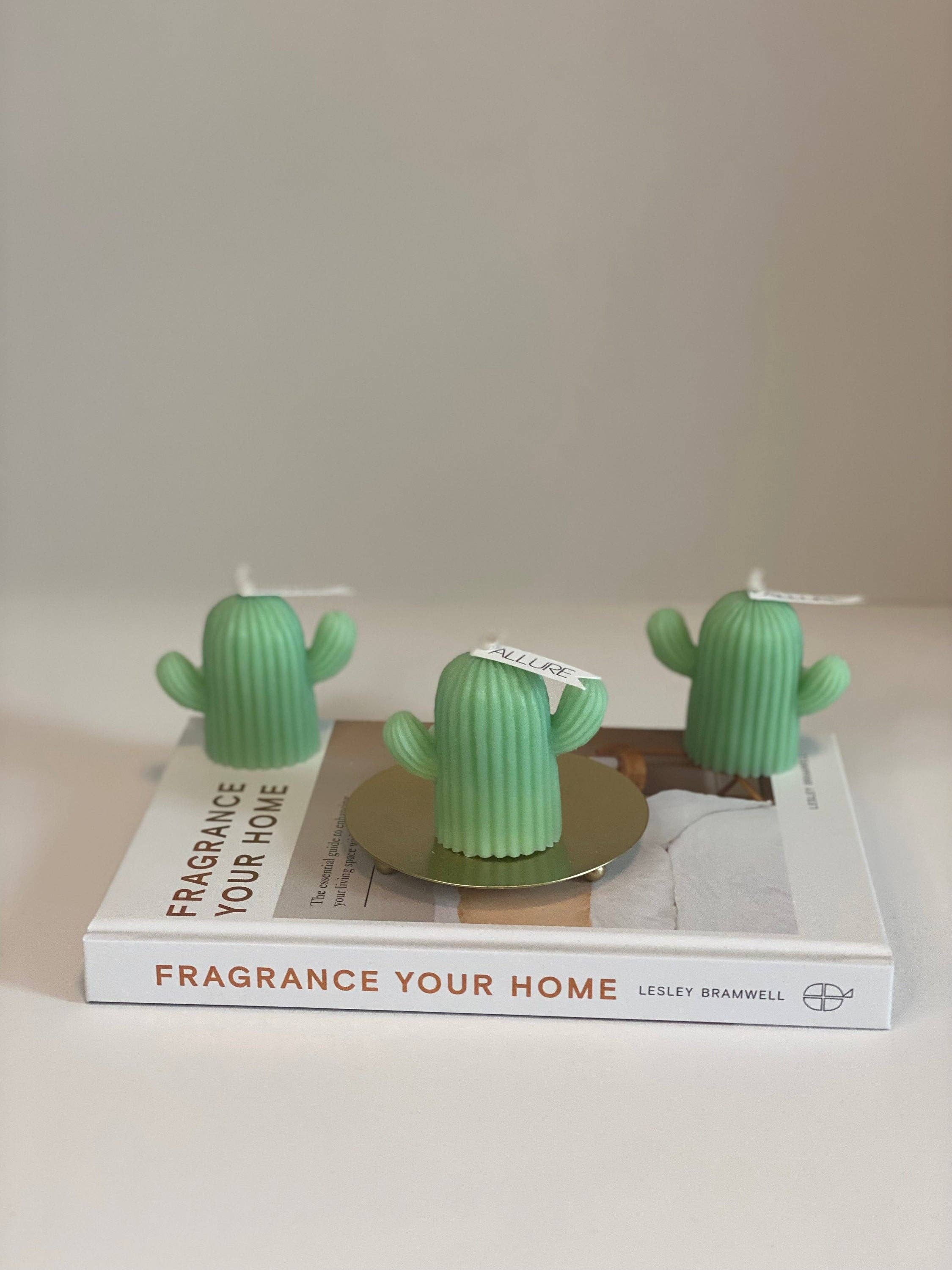 Allure Wax Works – Großhandel Geschenkkerze – Kaktus-Kerze4