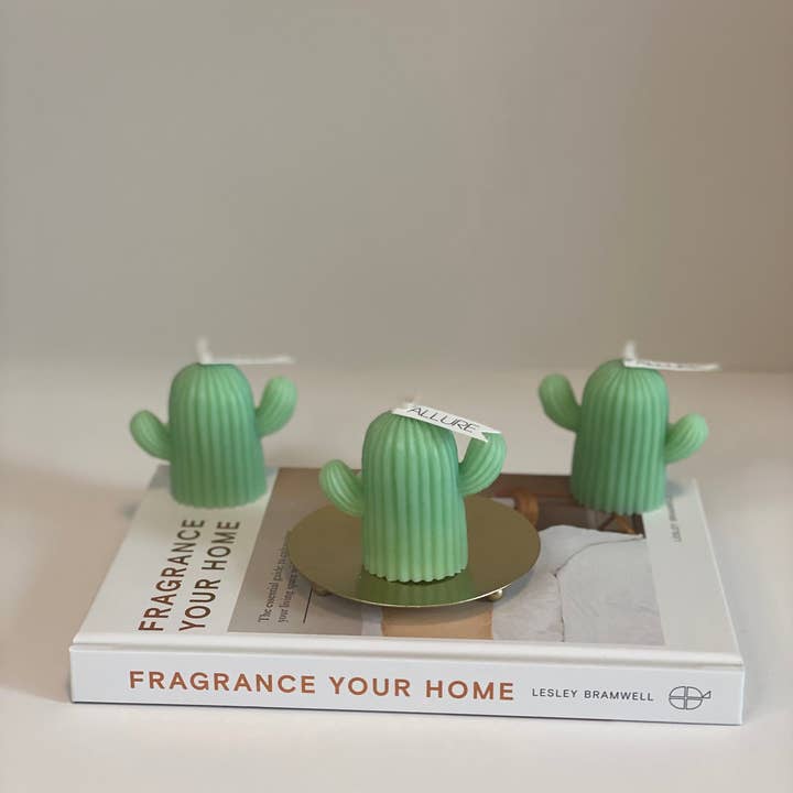Allure Wax Works – Großhandel Geschenkkerze – Kaktus-Kerze4