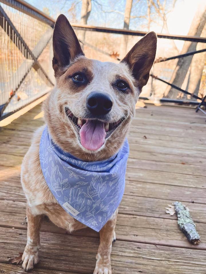 Positive Growth Bandanna for wholesale by Woah Ellie