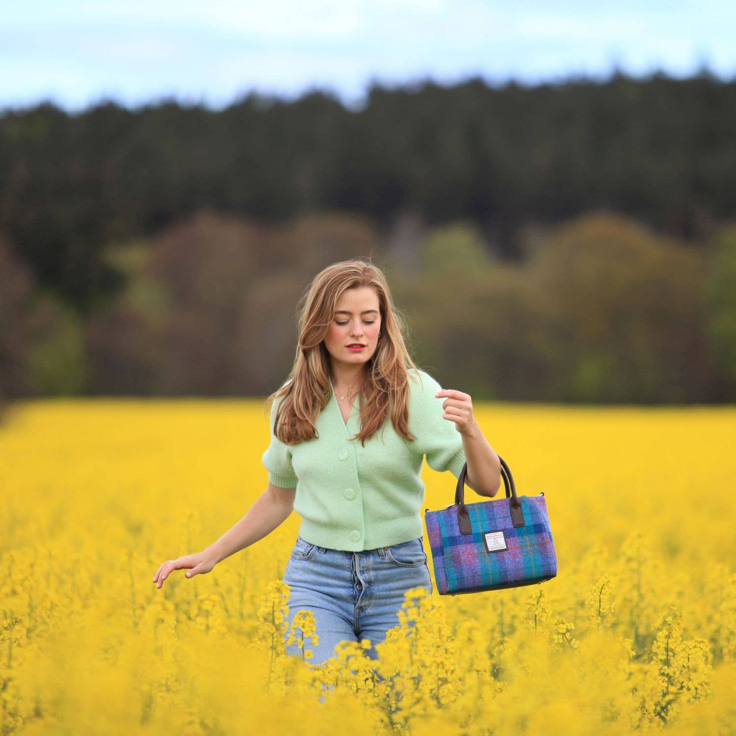 Dublin Gift Company - Vente Tote bag – femme - Petit sac cabas en tweed Harris2