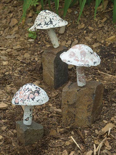 Little Fungi on Stone for wholesale by Ancient Graffiti